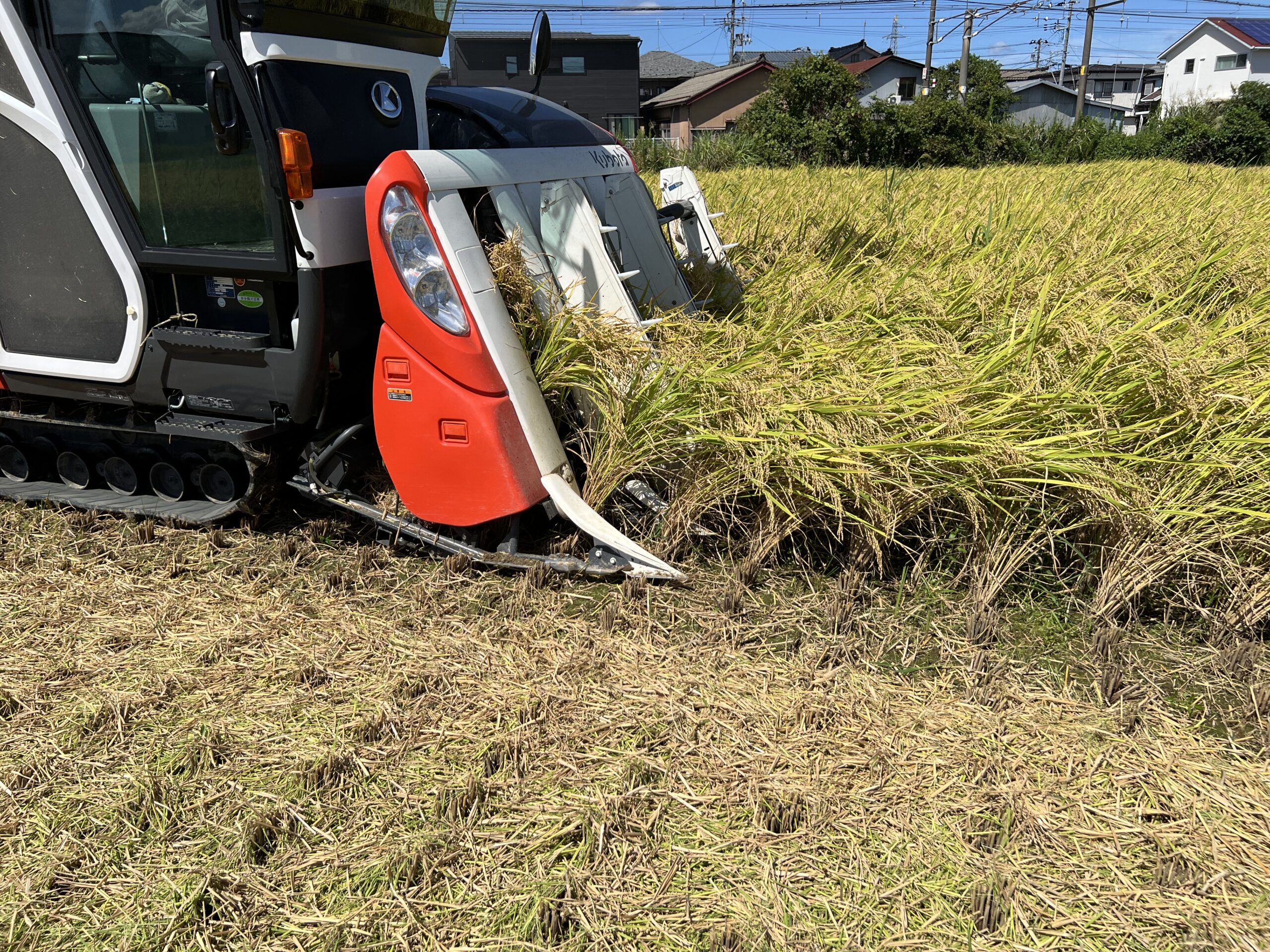 🌾収穫の秋🌾