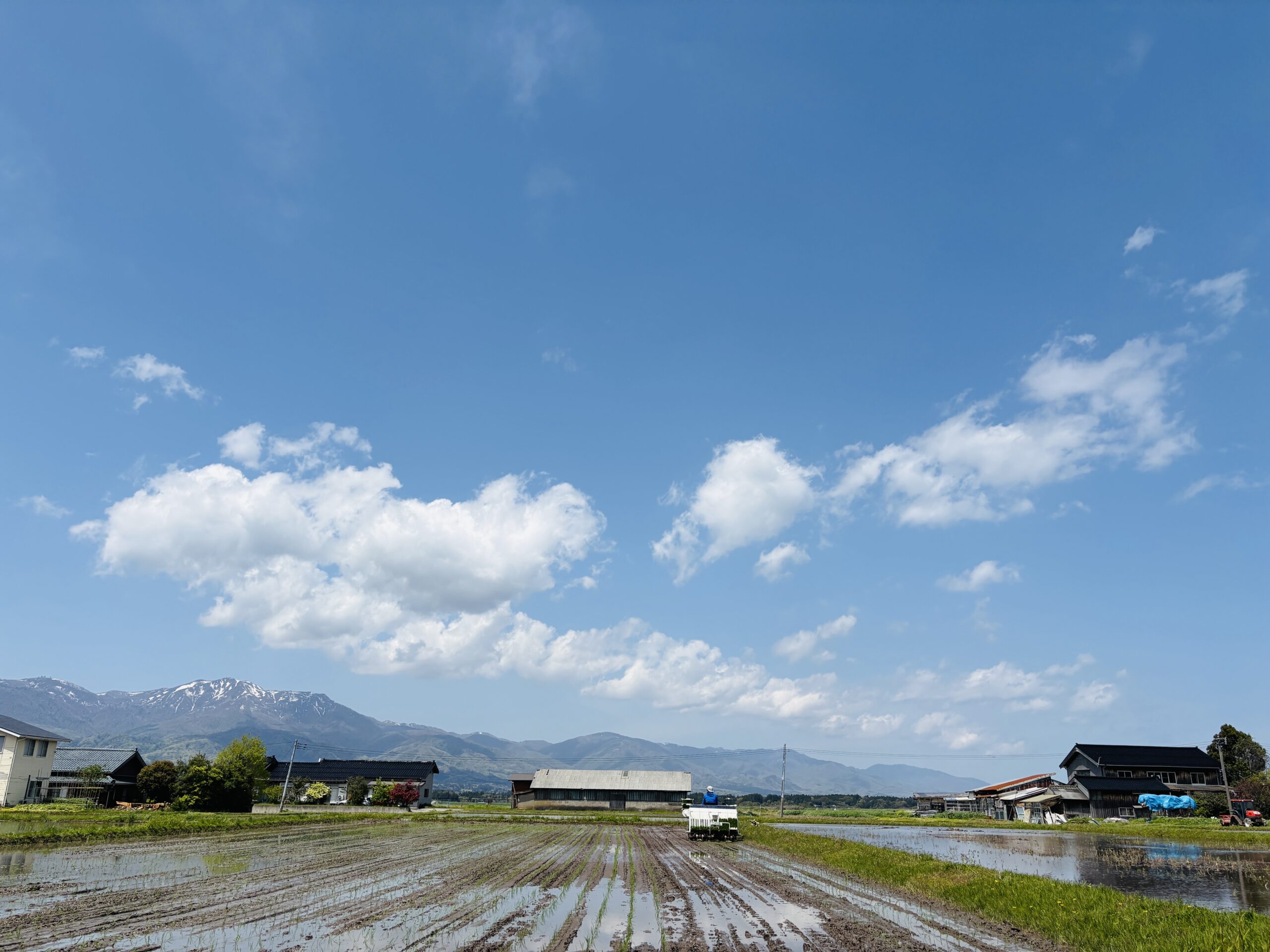 ＧＷ帰省🌱🌱
