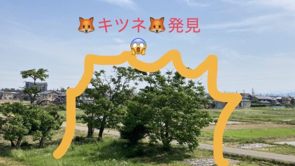 えっ？こんな場所にいるの⁈