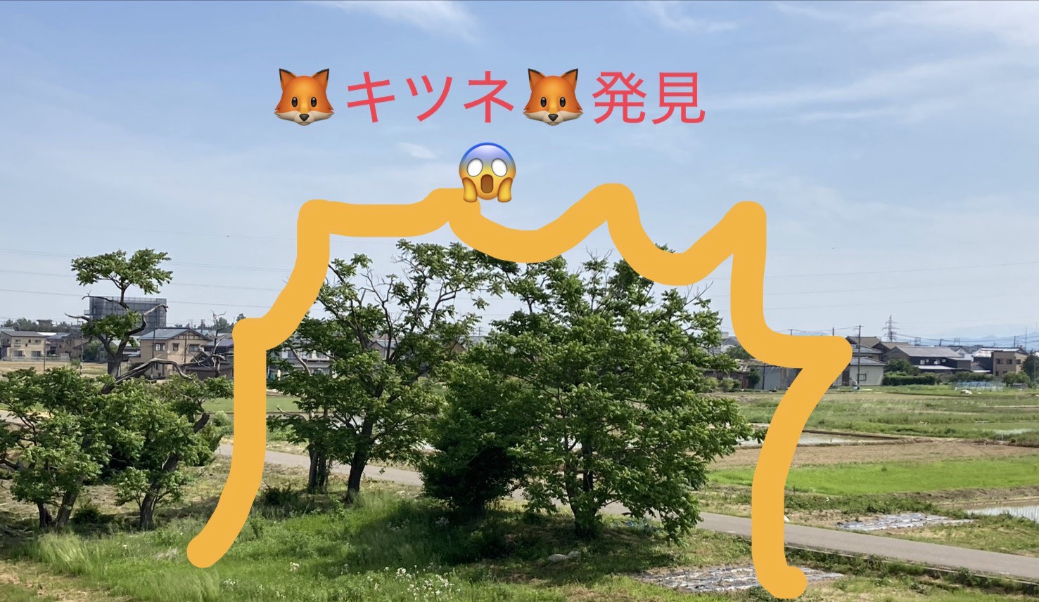 えっ？こんな場所にいるの⁈