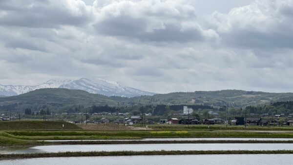 田植えという名のGW🌾